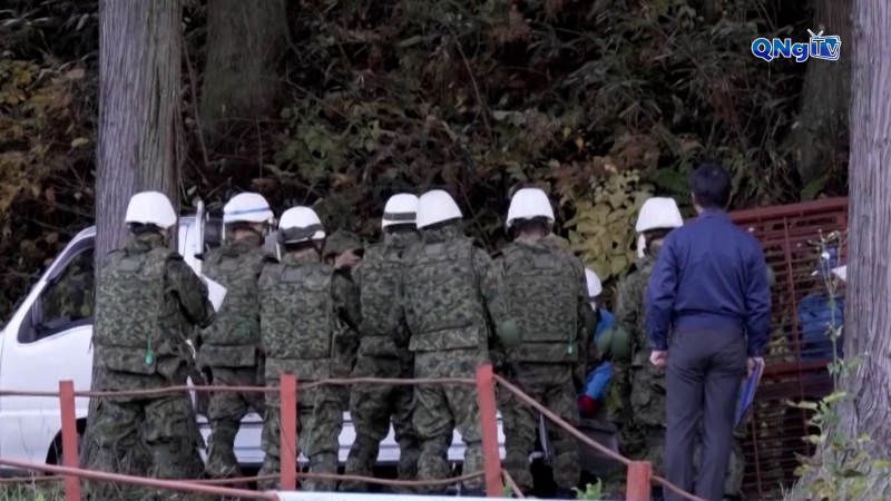 Nhật Bản triển khai quân đội bẫy gấu