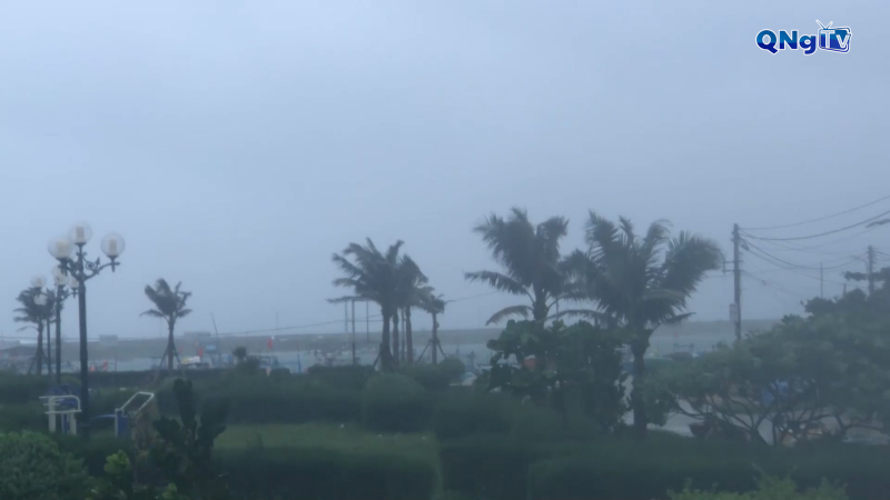 Quảng Ngãi mưa lớn trên diện rộng