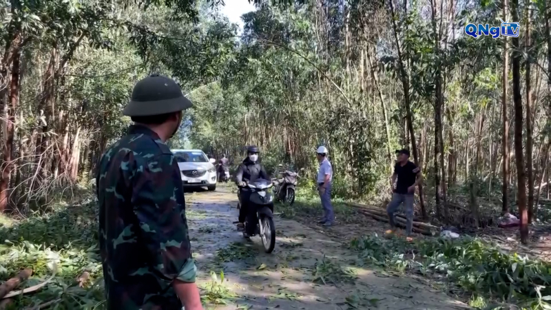 Đông Trà Bồng khẩn trương khắc phục hậu quả sau bão