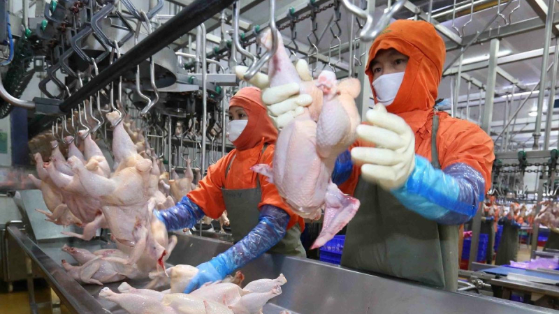 Đảm bảo nguồn cung nông sản dịp Tết 2026