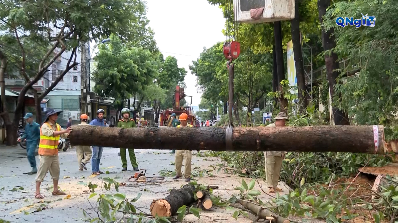 Ph&iacute;a T&acirc;y Quảng Ng&atilde;i khẩn trương khắc phục thiệt hại sau b&atilde;o số 13