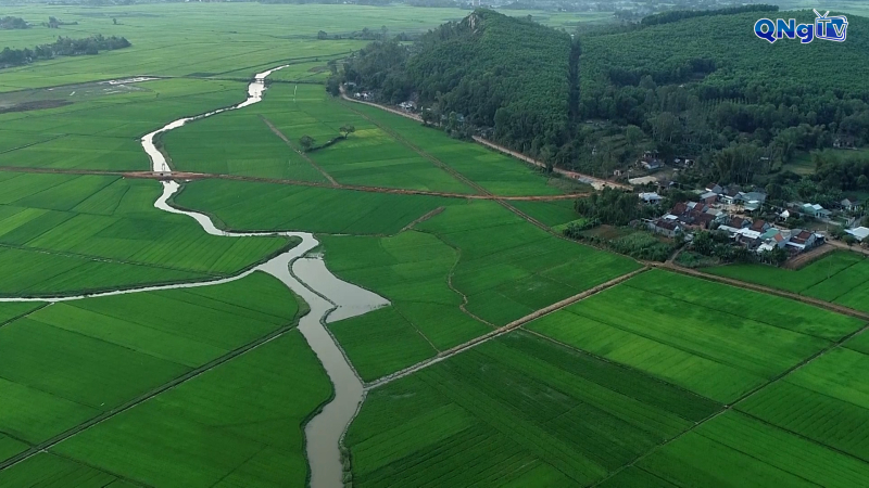 Hướng đến nông nghiệp xanh và phát triển bền vững