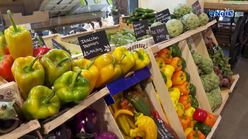 Giá lương thực thế giới tiếp tục giảm