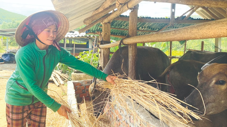 Hỗ trợ phụ nữ ph&aacute;t triển kinh tế