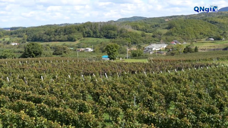 Nông nghiệp thích ứng biến đổi khí hậu