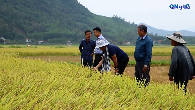 Khi ý Đảng thấm vào nông sản sạch