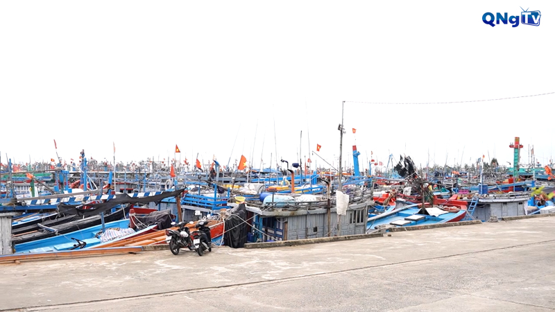 Không để tàu không đủ điều kiện ra khơi đánh bắt