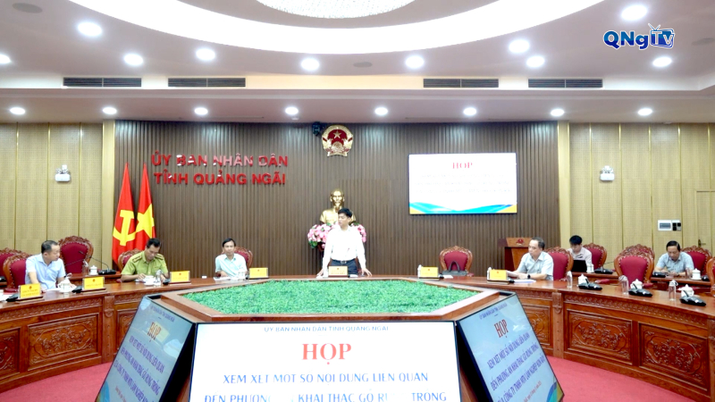 Đ&aacute;nh gi&aacute; t&aacute;c động m&ocirc;i trường khi khai th&aacute;c rừng trồng