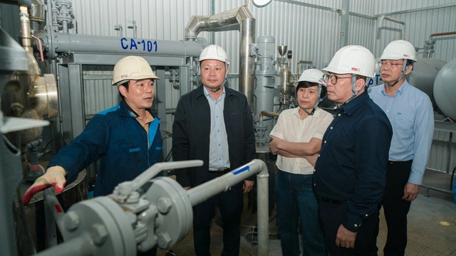 BSR đẩy nhanh tiến độ nghiên cứu nhiên liệu dầu diesel sinh học