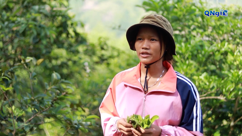 Điểm sáng trong phát triển kinh tế tập thể