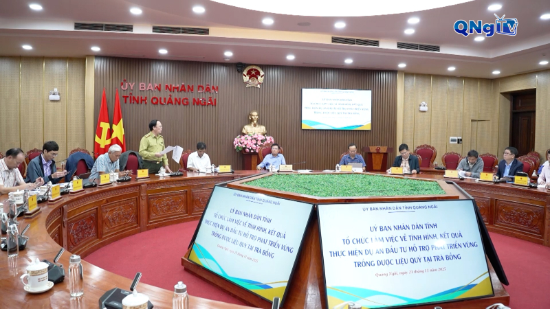 Đánh giá toàn diện dự án phát triển vùng dược liệu quý tại Trà Bồng