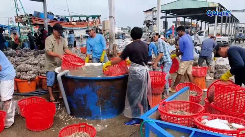L&aacute; chắn th&eacute;p ở v&ugrave;ng biển Vĩnh Long