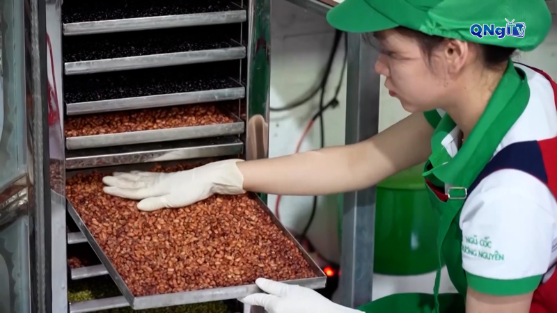 Lan tỏa người trẻ khởi nghiệp từ nông nghiệp