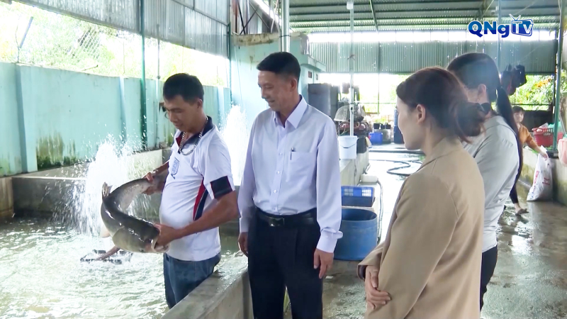 Tăng thu nhập nhờ ứng dựng nông nghiệp công nghệ cao 