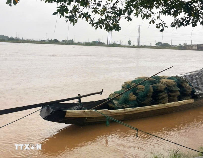 Người dân xã Triệu Bình, tỉnh Quảng Trị neo đậu ghe thuyền khi nước lũ trên sông Thạch Hãn dâng cao. Ảnh: Tường Vi/TTXVN