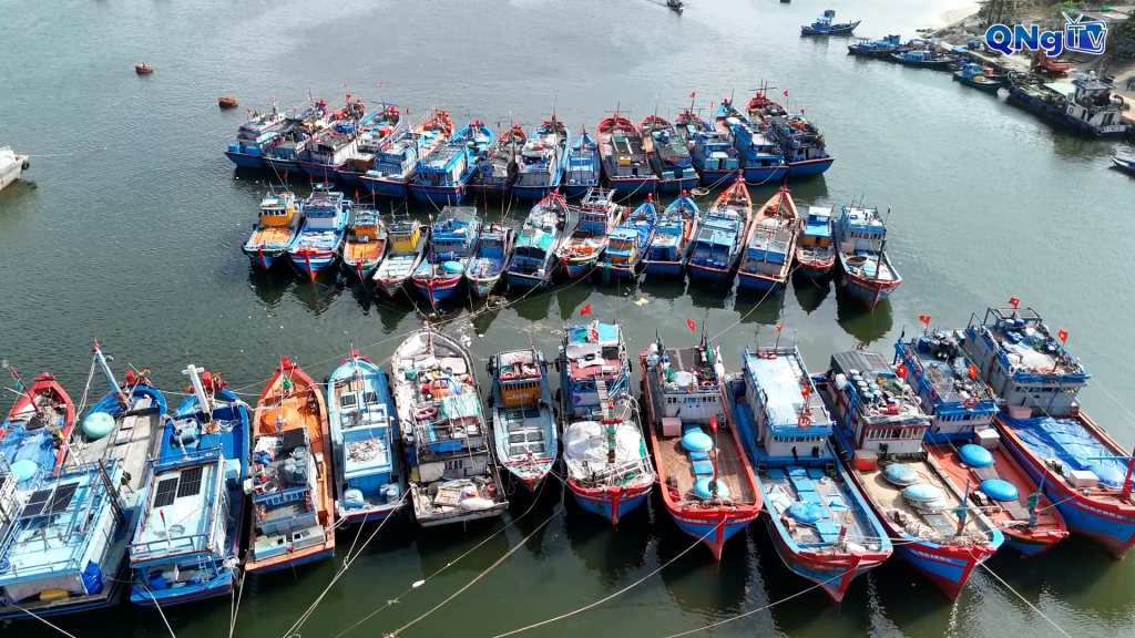 100% dữ liệu tàu cá được cập nhật, giám sát trên hệ thống.