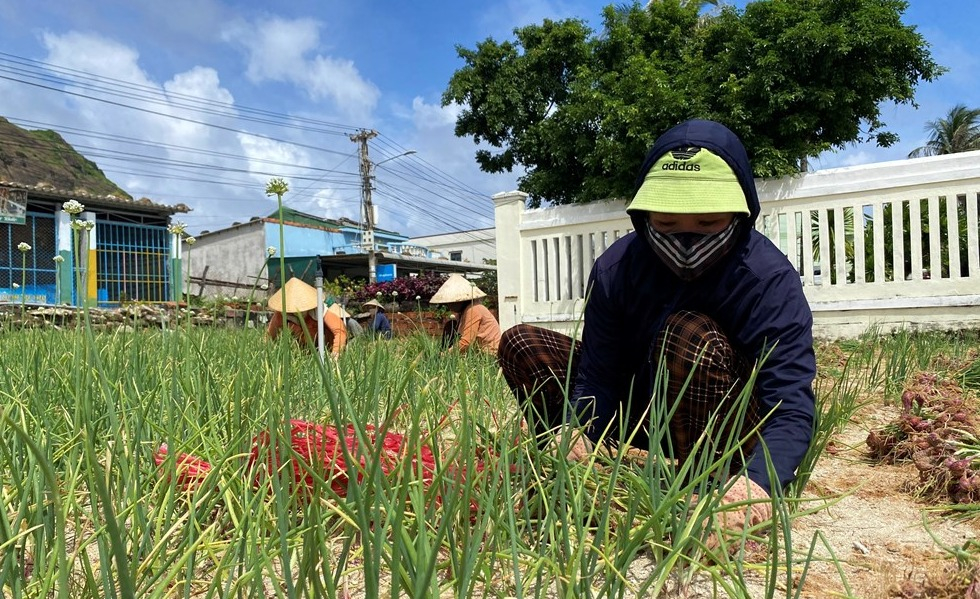 Lý Sơn đẩy mạnh giảm nghèo, nâng cao đời sống người dân.