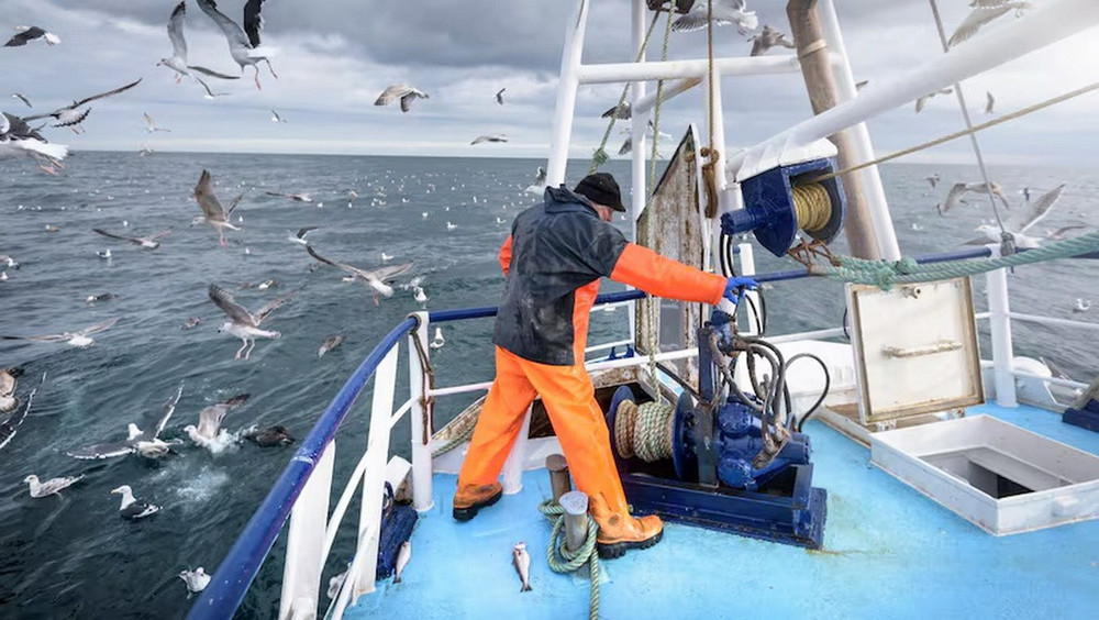 Ảnh minh họa. (Nguồn: Getty)