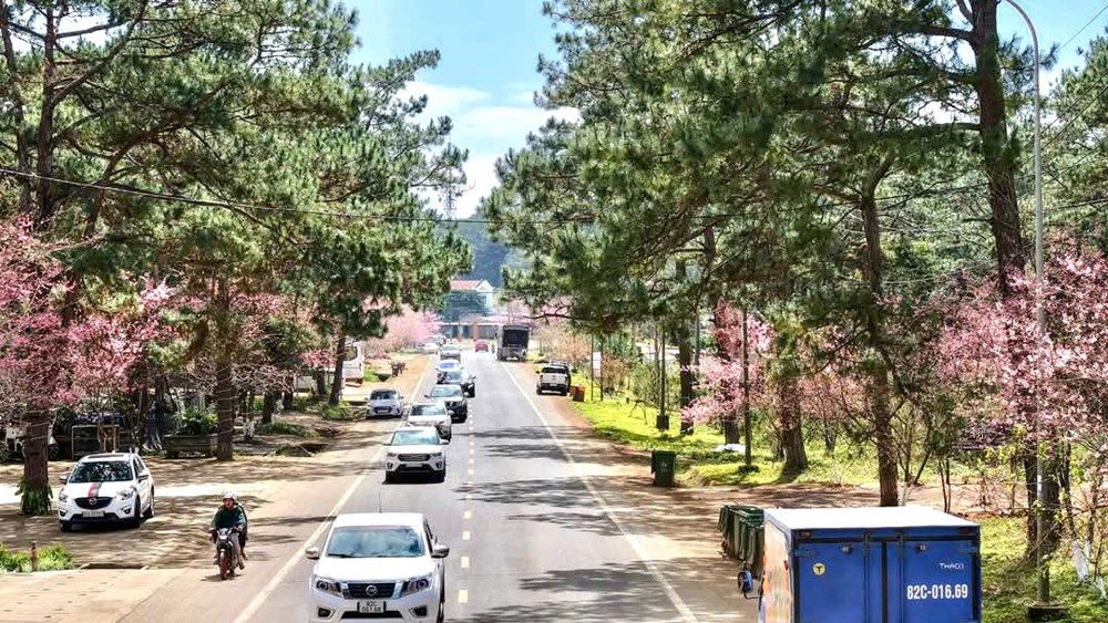 Du lịch Măng Đen.