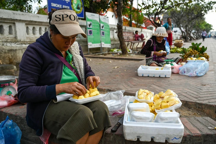 Mít tươi Việt Nam xuất khẩu sang Trung Quốc phải đáp ứng các yêu cầu kiểm dịch thực vật - Ảnh: AFP