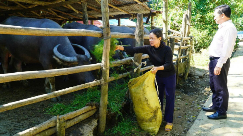 Quảng Ngãi chuyển mình trong hành trình giảm nghèo bền vững