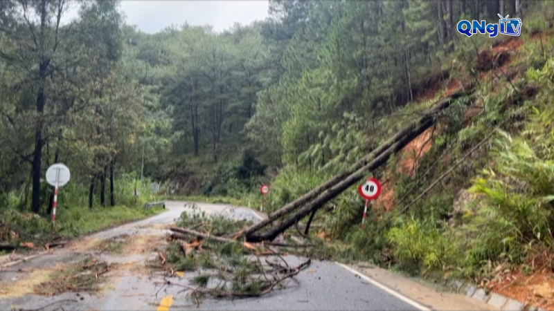 Sạt lở ách tắc nhiều tuyến đường ở Lâm Đồng