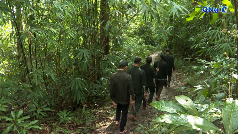 Dòng tiền xanh nuôi rừng bền vững