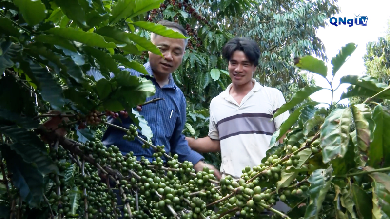 Chuyển hướng với mô hình cà phê đa thân