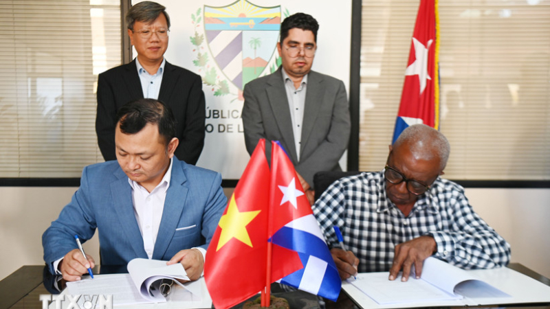 Doanh nghiệp Việt Nam đầu tư trồng điều ở Cuba