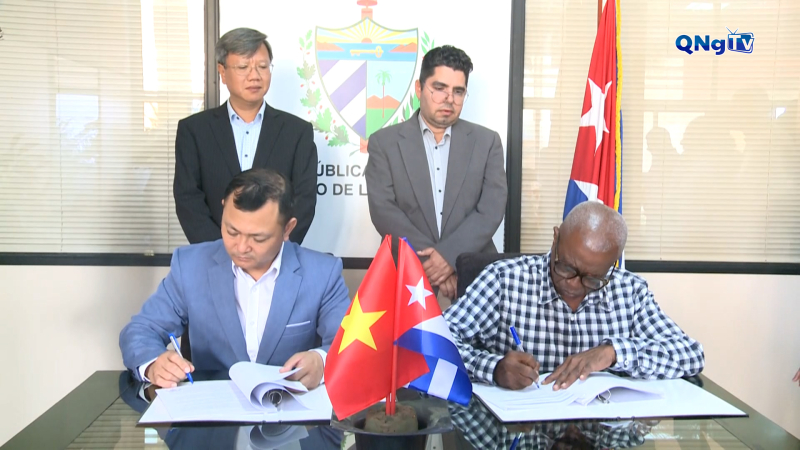 Doanh nghiệp Việt Nam đầu tư trồng điều ở Cuba