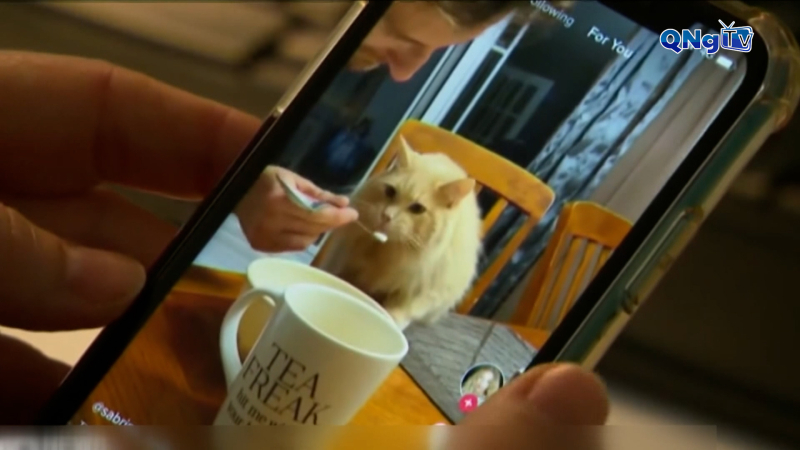 Thế giới tối 12/12