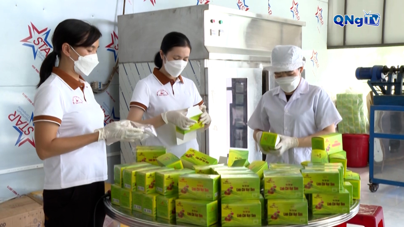 Công dân số 12/12/2025