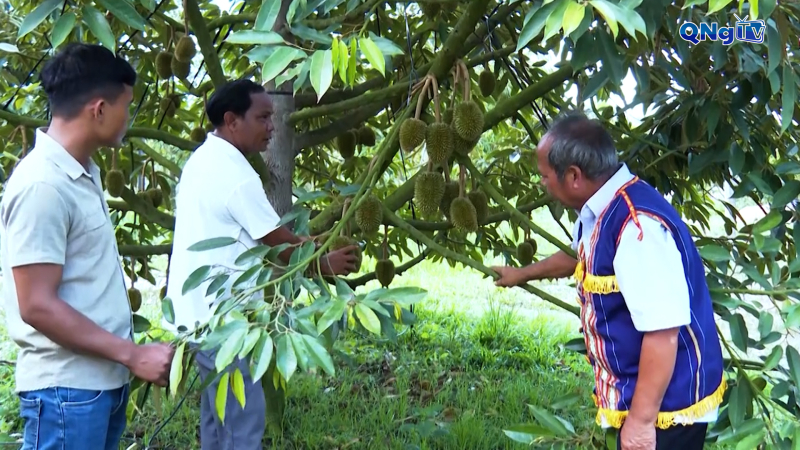 Cùng nỗ lực giảm nghèo bền vững 