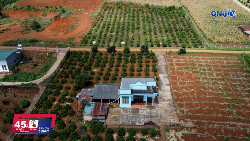 45 giây 1 chạm ngày 13/12