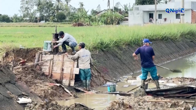 Đắk Lắk hỗ trợ bà con nông dân khôi phục sản xuất