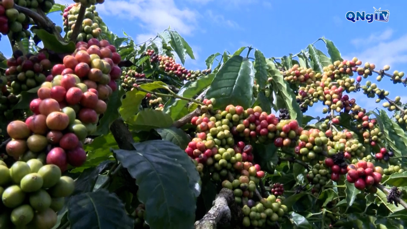 Truyền thông hiệu quả để giảm nghèo bền vững