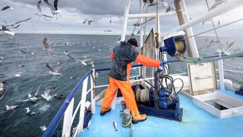 EU đạt thỏa thuận về hoạt động khai thác hải sản