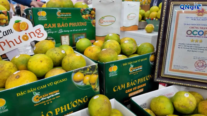 Khẳng định thương hiệu OCOP Quảng Ngãi