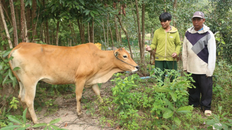 Đa dạng h&oacute;a sinh kế gi&uacute;p người d&acirc;n giảm ngh&egrave;o bền vững