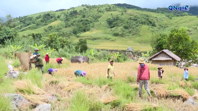 Đưa th&ocirc;ng tin kết nối người ngh&egrave;o 