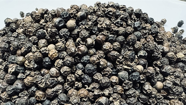 Việt Nam b&aacute;n hơn 223.200 tấn &lsquo;v&agrave;ng đen&rsquo;, tiền thu về cao kỷ lục