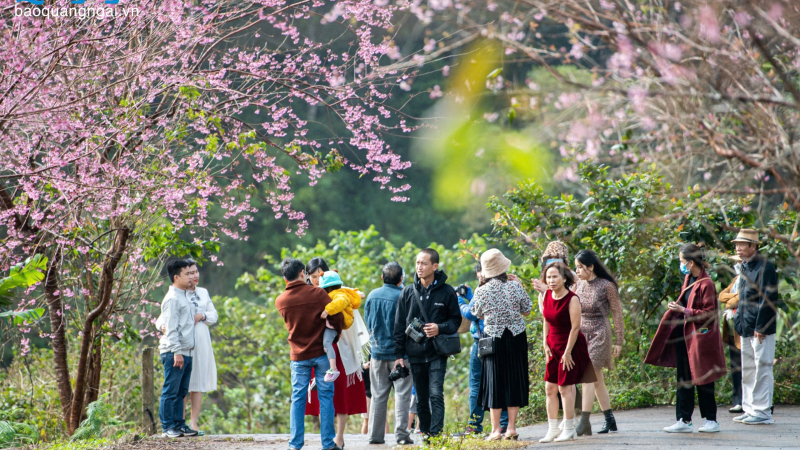 Tổ chức chuỗi hoạt động ch&agrave;o năm mới 2026