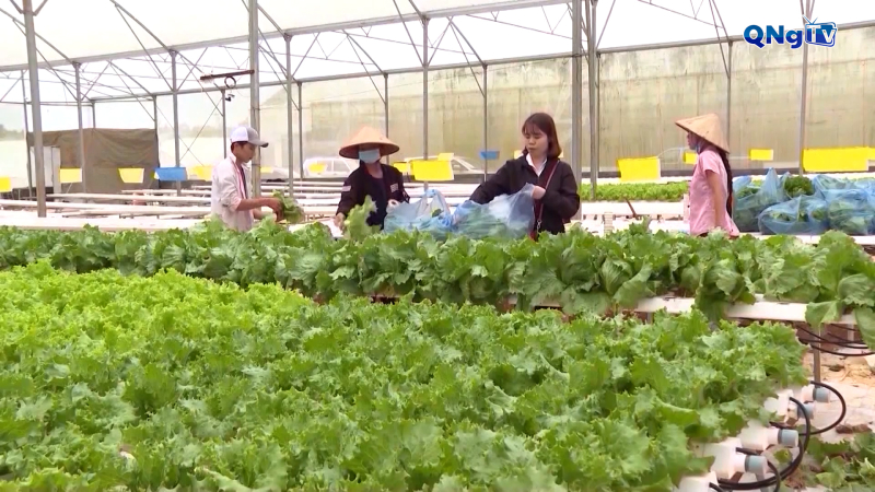 Ph&aacute;t triển giai cấp n&ocirc;ng d&acirc;n trong giai đoạn mới 