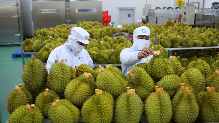 Th&iacute; điểm truy xuất nguồn gốc sầu ri&ecirc;ng bằng tem do Bộ C&ocirc;ng an ph&aacute;t h&agrave;nh 