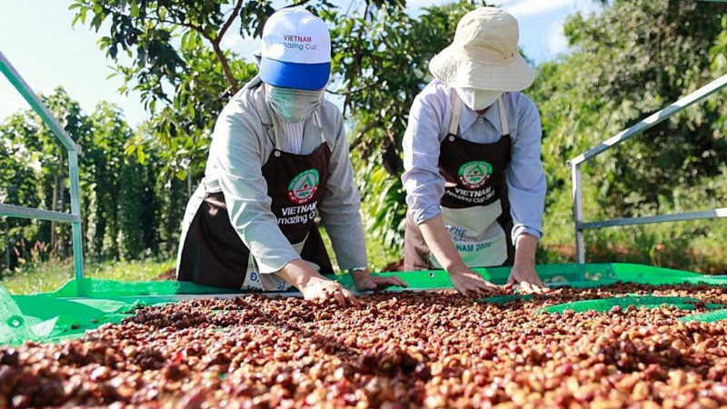 C&agrave; ph&ecirc; Việt Nam lập kỷ lục xuất khẩu 