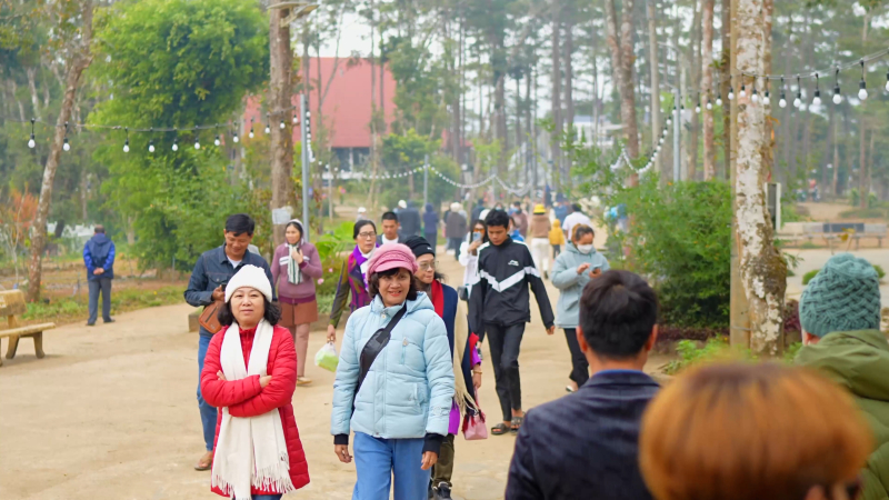 Quảng Ng&atilde;i đẩy mạnh x&uacute;c tiến du lịch