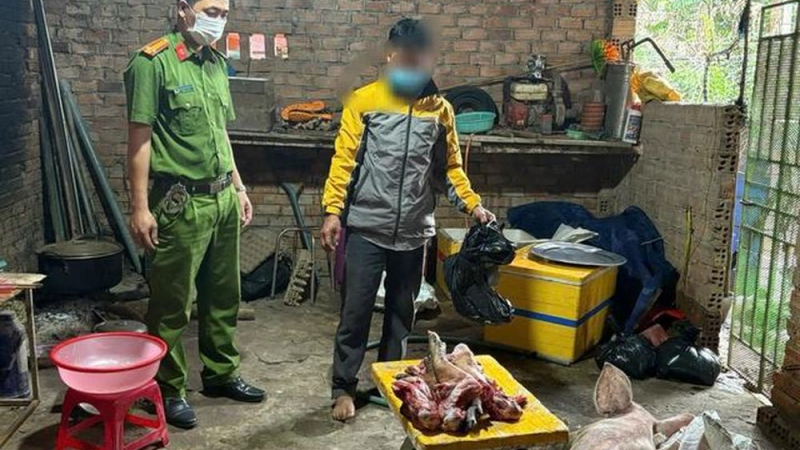 Ph&aacute;t hiện vụ ti&ecirc;u thụ thịt heo kh&ocirc;ng đảm bảo an to&agrave;n ở Quảng Ng&atilde;i