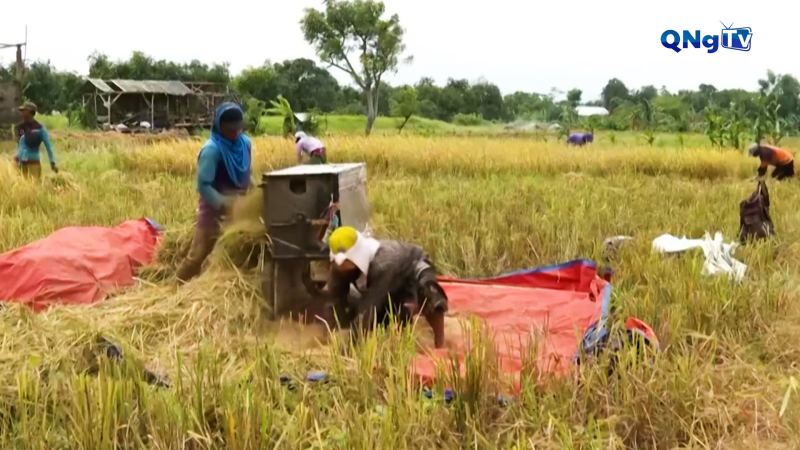 Indonesia hướng tới tự chủ lương thực quốc gia 