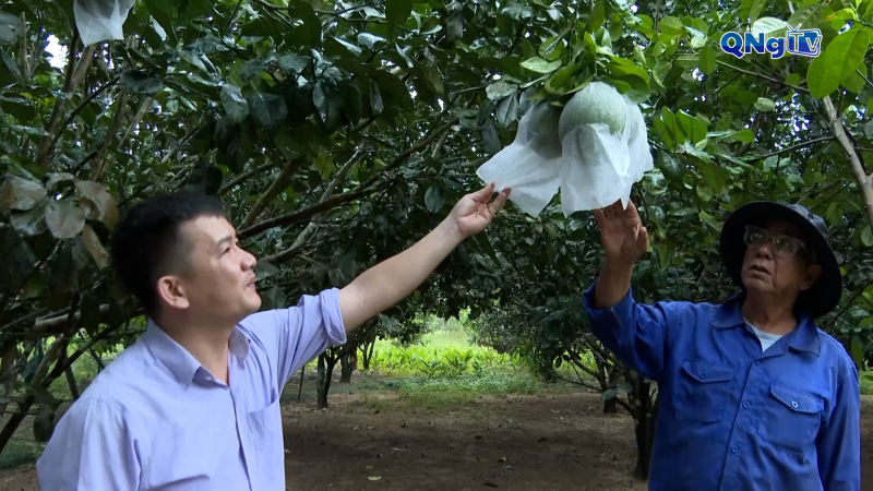 Ph&aacute;t triển c&acirc;y ăn quả ở miền n&uacute;i Sơn Linh