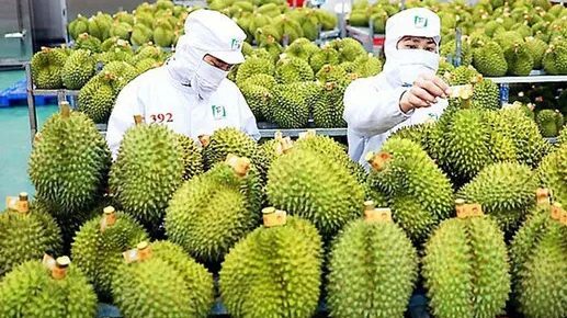 Xuất khẩu rau quả sẽ tiếp tục bứt ph&aacute;, hướng tới mốc 10 tỷ USD